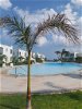 Don't Miss the Holiday Home Opportunity in Esentepede-b72b4bd3-a922-4f1d-a31a-b2e1595219dd